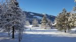 Skier in winter on Community Trail
